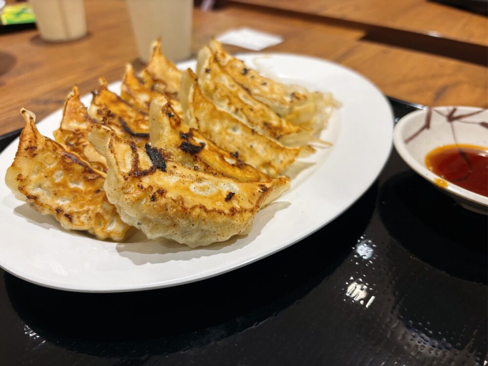 浜名湖SAの宇都宮餃子