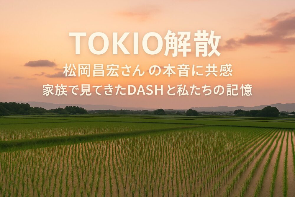 静かな里山の風景。青々とした田んぼと夏空が広がり、人影はなく、穏やかな時間の流れを感じさせる写真