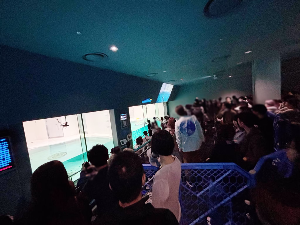 鳥羽水族館のラッコを観覧する人たち