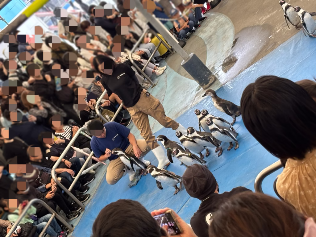 ペンギンショーで歩くペンギンと大勢の観覧する人たち