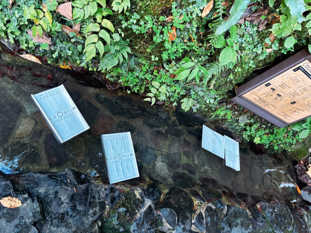 貴船神社の紙に書かれたおみくじを、境内の清らかな水に浮かべている